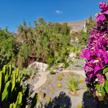Dom wakacyjny Historica Casa Con Vistas Al Jardin De Cactus Y Montanas *